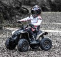 ORYGINALNY QUAD CAN AM MAVERICK 4X4, PILOT, AMORTYZATORY, PASY BEZPIECZEŃSTWA/DK-CA002 Import SUPER-TOYS