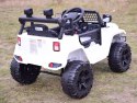 JNOWSZY DZIP NA AKUMULATOR, PILOT, RADIO FM/BDM0922 Import SUPER-TOYS