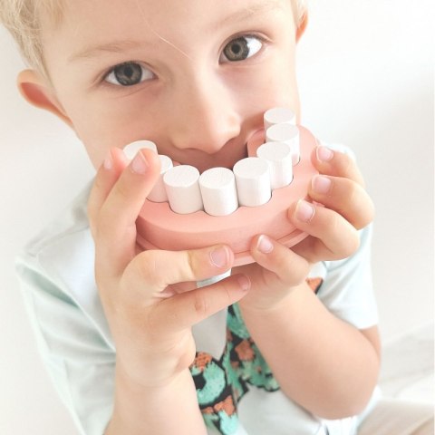 TOOKY TOY Zestaw Małego Dentysty Walizka Lekarza 19 el. FSC Tooky Toy TOOKY TOY Zestaw Małego Dentysty Walizka Lekarza 19 el. FSC Tooky Toy