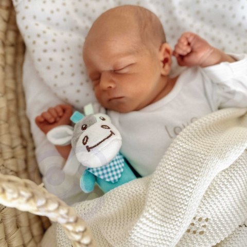 WOOPIE BABY Zabawka Pluszowa Sensoryczna Piszczek Woopie Baby WOOPIE BABY Zabawka Pluszowa Sensoryczna Piszczek Woopie Baby
