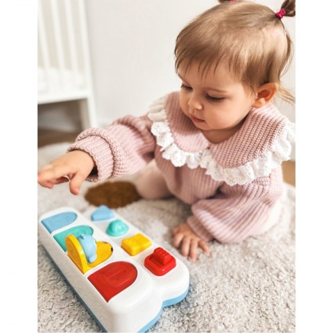 WOOPIE BABY Zabawka Edukacyjna Wyskakujące Zwierzątka POP-UP Woopie Baby WOOPIE BABY Zabawka Edukacyjna Wyskakujące Zwierzątka POP-UP Woopie Baby