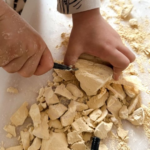 WOOPIE Zabawka Kreatywna Dinozaur Szkielet Wykopalisko Archeologiczne Woopie WOOPIE Zabawka Kreatywna Dinozaur Szkielet Wykopalisko Archeologiczne Woopie