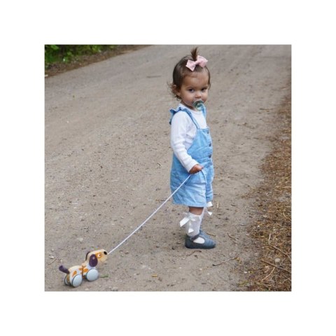 VIGA PolarB Drewniany Piesek do Ciągnięcia Viga Toys VIGA PolarB Drewniany Piesek do Ciągnięcia Viga Toys