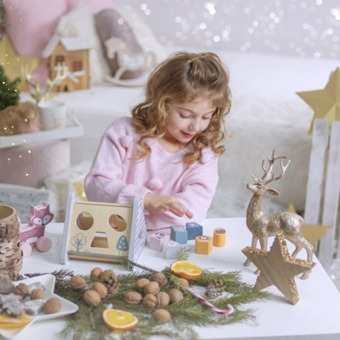 VIGA PolarB Drewniany sorter z klockami piramida Układanka Viga Toys VIGA PolarB Drewniany sorter z klockami piramida Układanka Viga Toys