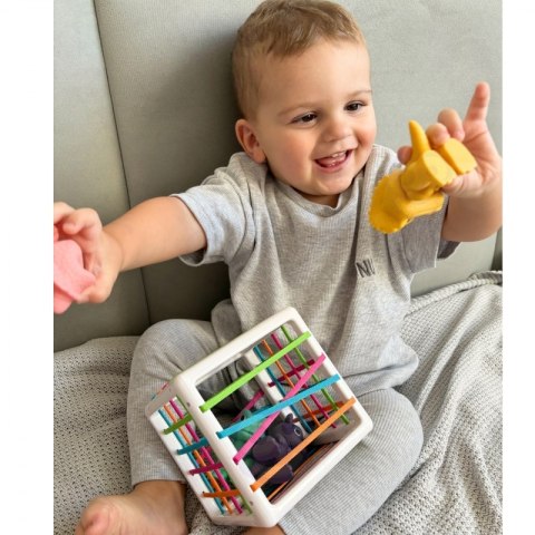WOOPIE Elastyczna Kostka Sensoryczna Sorter dla Dzieci Kolorowe Dinozaury 6 el. Woopie WOOPIE Elastyczna Kostka Sensoryczna Sorter dla Dzieci Kolorowe Dinozaury 6 el. Woopie