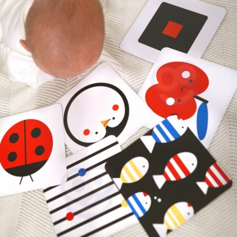 TOOKY TOY Box Pudełko XXL Montessori Edukacyjne 7w1 Sensoryczne 0-2 Mies Tooky Toy TOOKY TOY Box Pudełko XXL Montessori Edukacyjne 7w1 Sensoryczne 0-2 Mies Tooky Toy