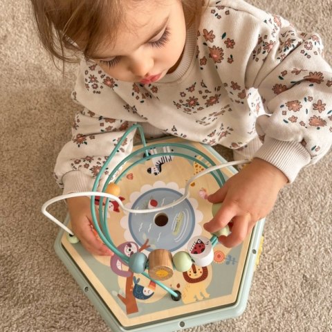 TOOKY TOY Interaktywny Drewniany Sześciokąt Montessori Otwierane Pudełko Tooky Toy TOOKY TOY Interaktywny Drewniany Sześciokąt Montessori Otwierane Pudełko Tooky Toy