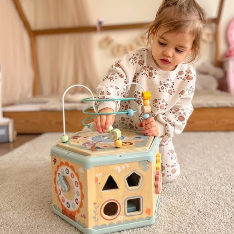 TOOKY TOY Interaktywny Drewniany Sześciokąt Montessori Otwierane Pudełko Tooky Toy TOOKY TOY Interaktywny Drewniany Sześciokąt Montessori Otwierane Pudełko Tooky Toy