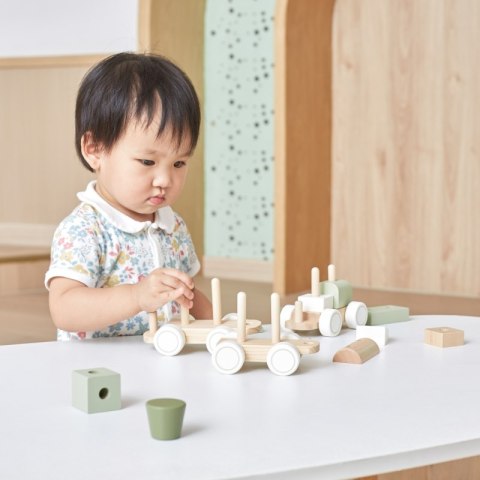 VIGA PolarB Zielona Kolejka Pociąg z Wagonikami Klocki Viga Toys VIGA PolarB Zielona Kolejka Pociąg z Wagonikami Klocki Viga Toys
