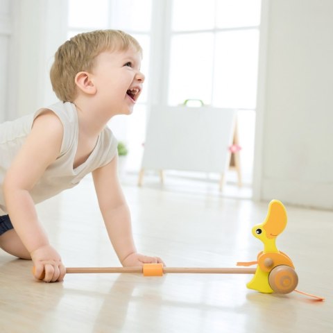 Classic World EKO Wooden Duck Pusher Classic World Classic World EKO Wooden Duck Pusher Classic World