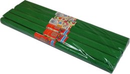 Bibuła 10szt. C. ZIELONA 200x50cm | nr 24 SCHEMAT