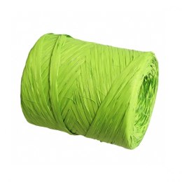 Rafia jasno zielona 200m | 119000 - 1/200 33-00-00 PLASTIFLORA