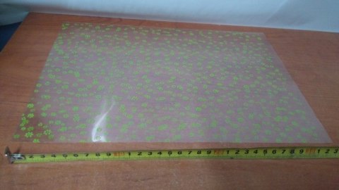 Worek celofan 25szt 25x35 ZIELONE KWIATY POLSY-worki foliowe Worek celofan 25szt 25x35 ZIELONE KWIATY POLSY-worki foliowe