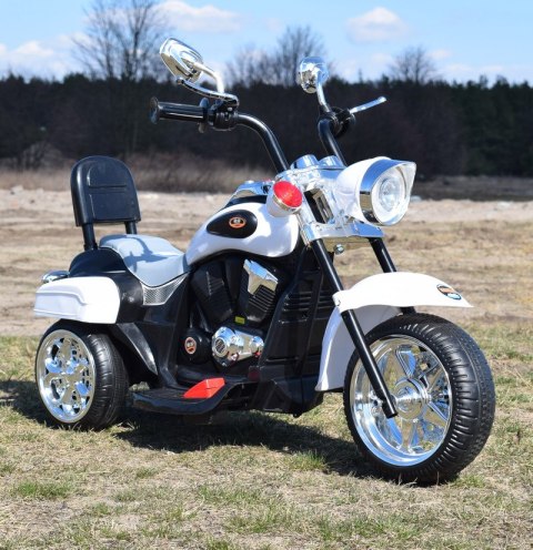 MOTOR CHOPPER Z OPARCIEM, WARKIEM SILNIKA/TR1501 Import SUPER-TOYS MOTOR CHOPPER Z OPARCIEM, WARKIEM SILNIKA/TR1501 Import SUPER-TOYS