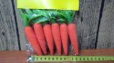 Marchewki 6szt. w worku | SWA-18121 FENIKS - Agd Marchewki 6szt. w worku | SWA-18121 FENIKS - Agd