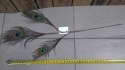 Ozdobne pióro PAWIE 50cm CV10066 CERAMIC STUDIO-TOPGIFTS Ozdobne pióro PAWIE 50cm CV10066 CERAMIC STUDIO-TOPGIFTS