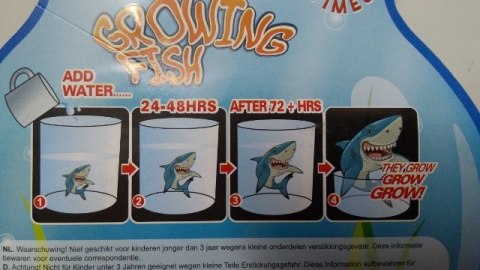 Rybki rosnące 3szt na blistzre 5cm 620654 HIPO - zabawki Rybki rosnące 3szt na blistzre 5cm 620654 HIPO - zabawki
