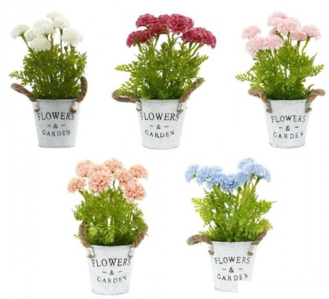 Kwiatki w doniczce FLOWERS & GARDEN 12x27cm Midex