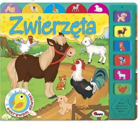 Książeczka odkrywam dźwięki zwierzęta MOREX-kalendarze Książeczka odkrywam dźwięki zwierzęta MOREX-kalendarze