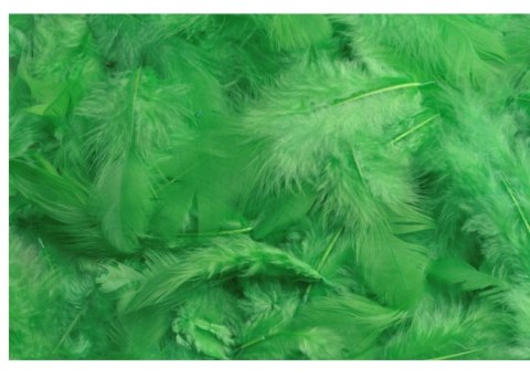 Pierze naturalne barwione zielone 7-12cm 10g | HM0003_GR CANEA Pierze naturalne barwione zielone 7-12cm 10g | HM0003_GR CANEA