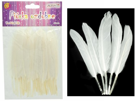 Piórka białe 15cm 40szt. | P-6562 ALIGA Piórka białe 15cm 40szt. | P-6562 ALIGA