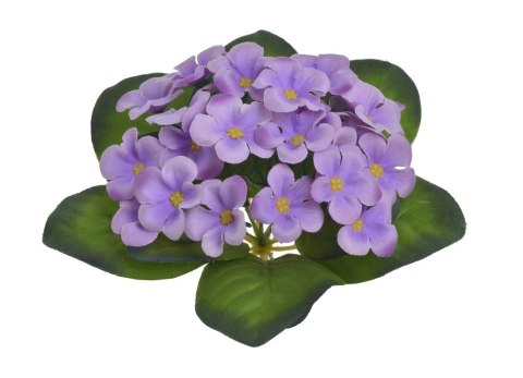 Fiolek afrykański -sztuczna 18cm. Jasny fiolet 86CAN3021209_03 CANEA Fiolek afrykański -sztuczna 18cm. Jasny fiolet 86CAN3021209_03 CANEA