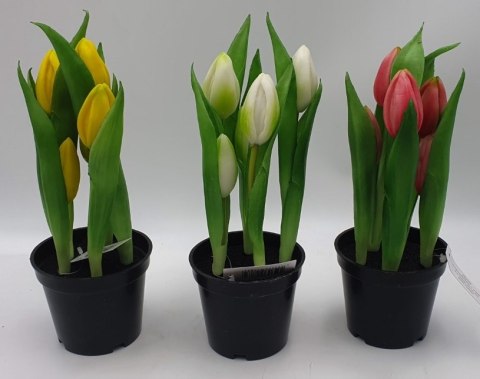 Kwiat w doniczce dla babci 24cm TULIPAN M93209 BABCIA MICHALSKA-KWIATY Kwiat w doniczce dla babci 24cm TULIPAN M93209 BABCIA MICHALSKA-KWIATY