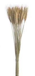 Susz naturalny - zboże paczkowane 60cm 55g WOL-11NAT CANEA Susz naturalny - zboże paczkowane 60cm 55g WOL-11NAT CANEA