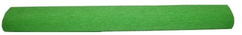 Bibuła krepina 200x50cm zielony | nr 117 SCHEMAT Bibuła krepina 200x50cm zielony | nr 117 SCHEMAT