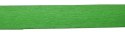 Bibuła krepina 200x50cm zielony | nr 117 SCHEMAT Bibuła krepina 200x50cm zielony | nr 117 SCHEMAT