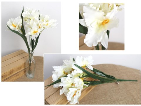 Bukiet 2szt IRYS wys. 50 cm 5 łodyg (kwiat 12 x 6 cm) ŚMIETANOWY MD-024A 7&7 Bukiet 2szt IRYS wys. 50 cm 5 łodyg (kwiat 12 x 6 cm) ŚMIETANOWY MD-024A 7&7