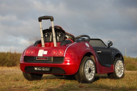 ROADSTER Z RĄCZKĄ DO PCHANIA, LAKIEROWANY NOWOŚĆ/1188 Import SUPER-TOYS ROADSTER Z RĄCZKĄ DO PCHANIA, LAKIEROWANY NOWOŚĆ/1188 Import SUPER-TOYS