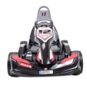 GOKART NA AKUMULATOR Z PILOTEM - "ELEMENT"/JE1299 Import SUPER-TOYS GOKART NA AKUMULATOR Z PILOTEM - "ELEMENT"/JE1299 Import SUPER-TOYS