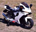 MOTOR ŚCIGACZ TR-1603 Import SUPER-TOYS