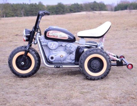 MOTOR CALIFORNIA SCOUT JAZDA NA TYLNYCH KOŁACH - 1600 WAT/LL6688 Import SUPER-TOYS MOTOR CALIFORNIA SCOUT JAZDA NA TYLNYCH KOŁACH - 1600 WAT/LL6688 Import SUPER-TOYS