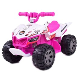 PIERWSZY QUAD NA AKUMULATOR DIRT RAIDER/BRD2101 Import SUPER-TOYS