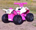 PIERWSZY QUAD NA AKUMULATOR DIRT RAIDER/BRD2101 Import SUPER-TOYS