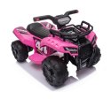 QUAD NA AKUMULATOR DLA MALUSZKA - CHAMPION 5000/JS320 Import SUPER-TOYS